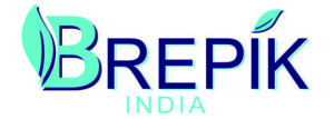 Brepik Footwears